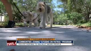 St. Pete is taking neighborhood watch up a notch
