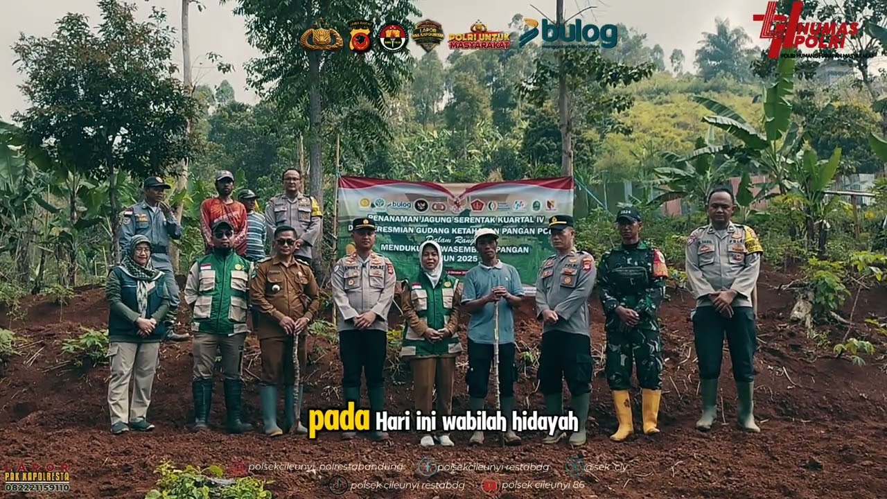 Dukung Ketahanan Pangan, Polsek Cileunyi Tanam Jagung Bersama Pemerintah Desa Melatiwangi