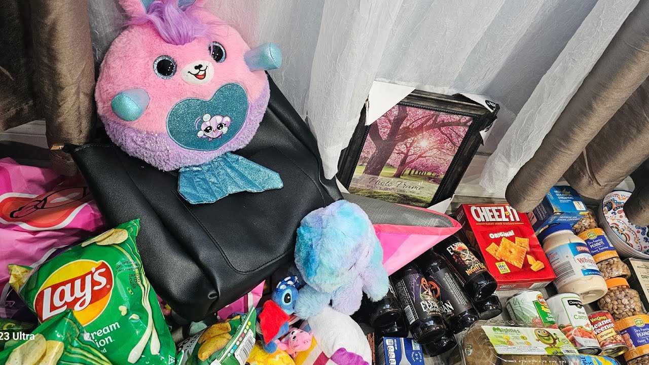 Dumpster Diving Grabe Nag uumapaw Chips Brand new  Boots Stuffed Toys