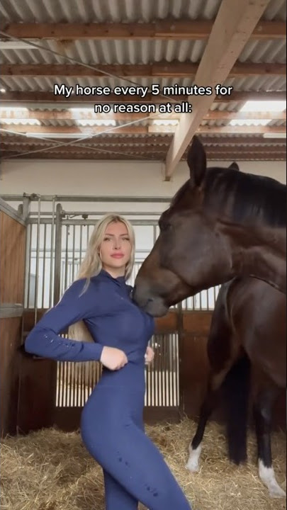 Ok Daristander 😂🐴 he’s just playful I guess #equestrian #horse #horseriding