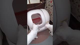 猫の自動トイレ☆