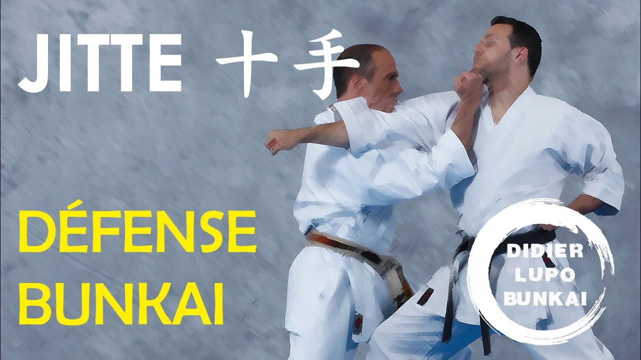 JITTE Défense et Bunkaï par Didier Lupo