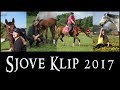 Sjove Klip 2017 [HORSE FAILS]