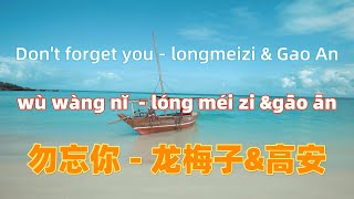 勿忘你 - 龙梅子&高安 wu wang ni - longmeizi & Gao An.伤感情歌.Chinese songs lyrics with Pinyin.