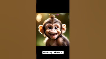 He Was Just a Cute Monkey… Until THIS Happened! 😱 | Meowkey Shorts