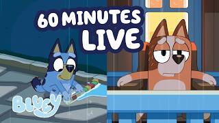 🔴 LIVE: Will Bluey be Able to Build a Dam? 🌧️ 💙 | 60 MINUTES of Adventurous Clips! 💫 | Bluey