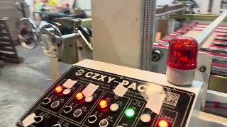 Automatic 2-color slotting die cutting printing machine with vibration stacker