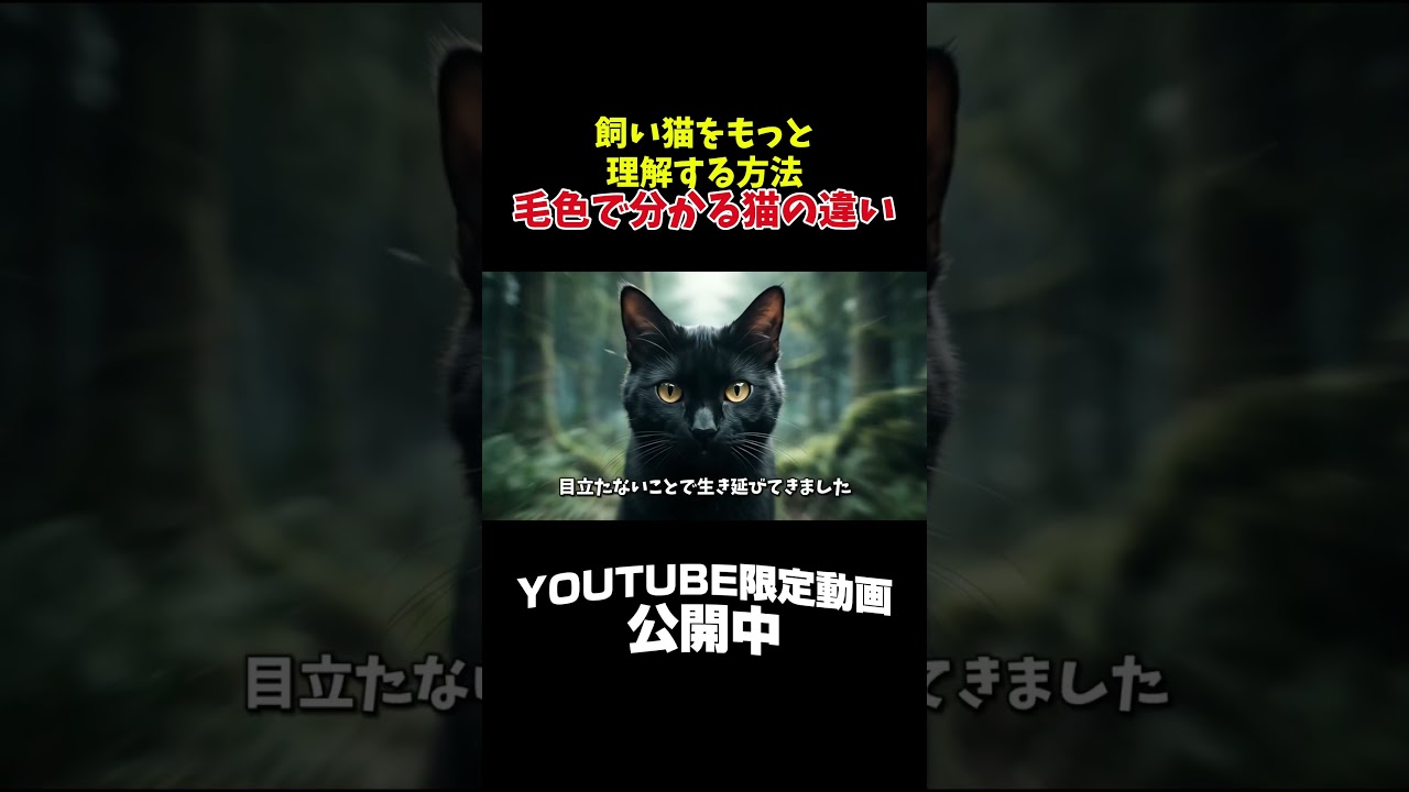 毛色で分かる猫の性格 #ねこのきもち #人類ねこ同盟