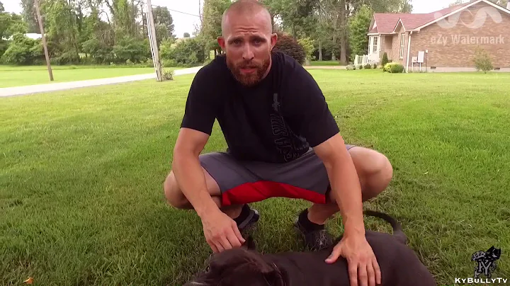 KyBullyTv: Chris Redmon Introducing his boy ABKC c...