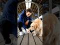 Beyond Cruelty - A Story of Loyalty and Love