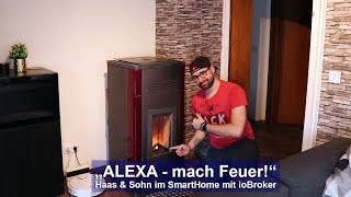 [ALEXA] Mach Feuer! - Haas & Sohn Pelletofen WLAN Modul [ioBroker - Tutorial][HD] screenshot 2