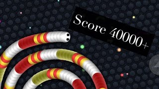 【スリザリオ】スコア40000越えプレー【Slither.io】