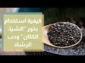 كيفية استخدام بذور الشيا الكتان وحب الرشاد رند الديسي