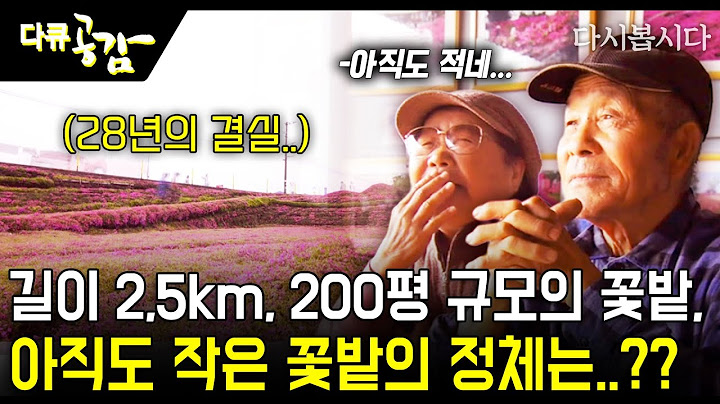 [다시봅시다] 길이 2,5km, 200평 규모의 꽃밭에는 비밀이 있다..? 넘치는 마음에 비하면 아직도 작은 꽃밭의 정체!! #다큐공감 | KBS 2016.06.05