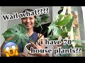 MY ENTIRE HOUSE PLANTS COLLECTION (PHILIPPINES)