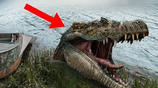 5 DRAGONES  Captados en Cámara En La Vida REAL | 2023