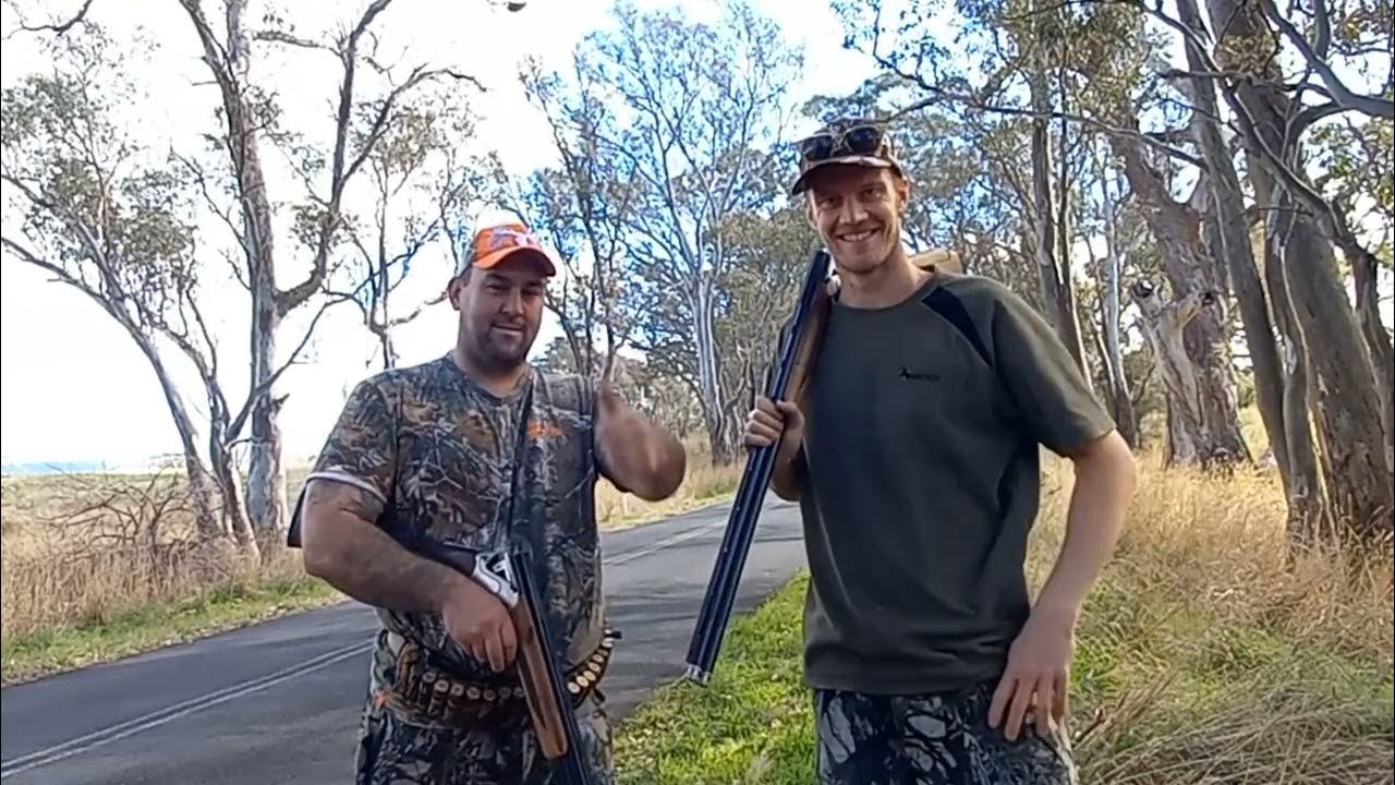 Victorian duck season 23". " black ducks down ". YouTube