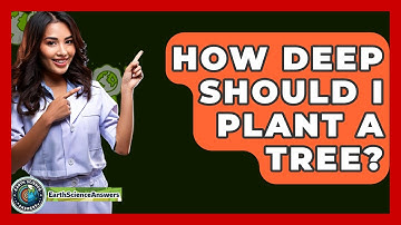 How Deep Should I Plant A Tree? - Earth Science Answers