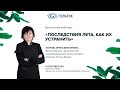 Последствия лета, как их устранить.