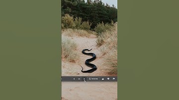 Exploring Adobe Generative Fill: THE ULTIMATE REVIEW