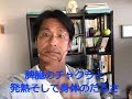 脾臓のチャクラと発熱そして身体のだるさ