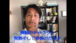 脾臓のチャクラと発熱そして身体のだるさ