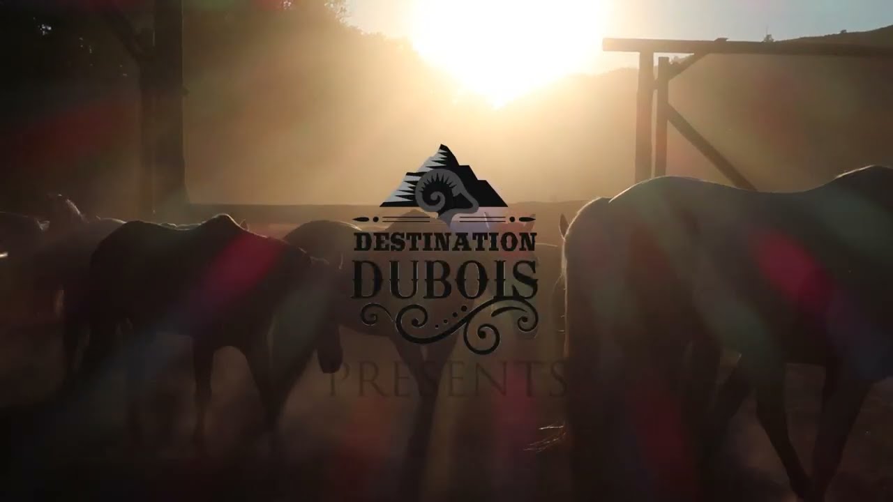 Dubois, Wyoming | Cowboy Country