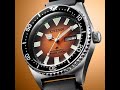 Citizen promaster diver automatic