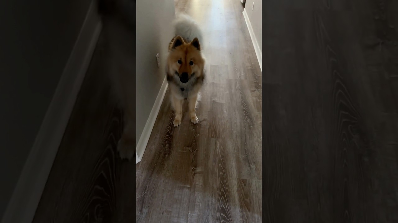 That Feeling When You're Being Followed 