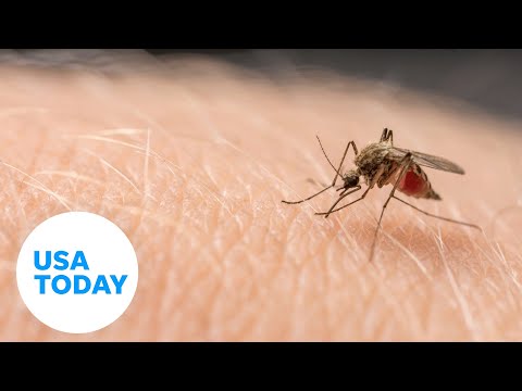 These soap scents may lead to more mosquito bites | USA TODAY