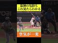 【乱闘寸前】これはアカン‥疑惑の広島小園に対しての投球 #阪神タイガース #広島東洋カープ #梅野隆太郎 #藤川監督 #新井監督