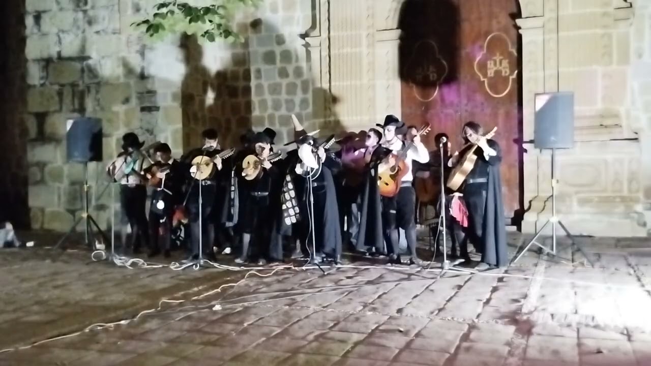 Sin verte. Tuna BUO, octubre 2024