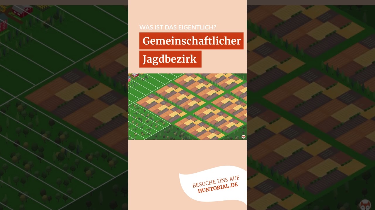 Gemeinschaftlicher Jagdbezirk – was ist das eigentlich?