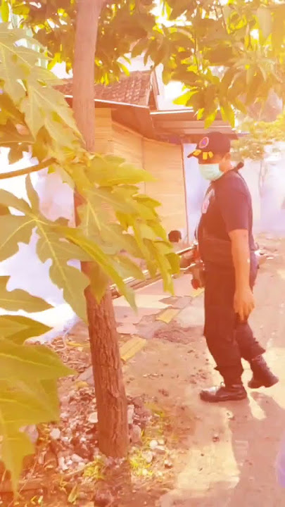 FOGGING DBD
