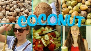 Кокосы ♡ Всё, что необходимо знать! Кокосы ♡ Всё, что необходимо знать!