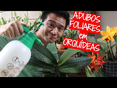 Vídeo: Os sprays foliares funcionam?