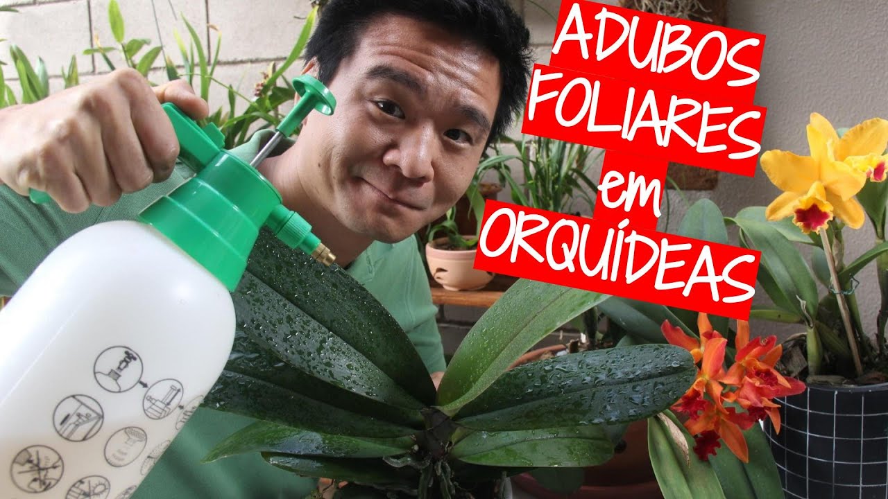 A realidade dos adubos foliares nas orquídeas