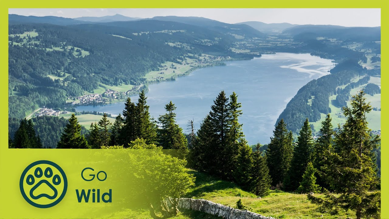 Switzerland, High up in the Jura Mountains