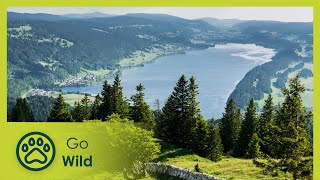 Switzerland, High up in the Jura Mountains | Fascinating Places | Go Wild