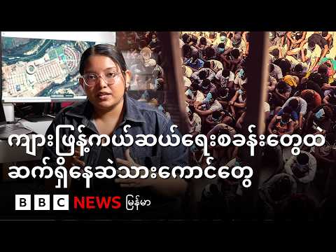 ကျားဖြန့်ကယ်ဆယ်ရေးစခန်းတွေထဲ ဆက်ရှိနေဆဲသားကောင်တွေ - BBC News မြန်မာ