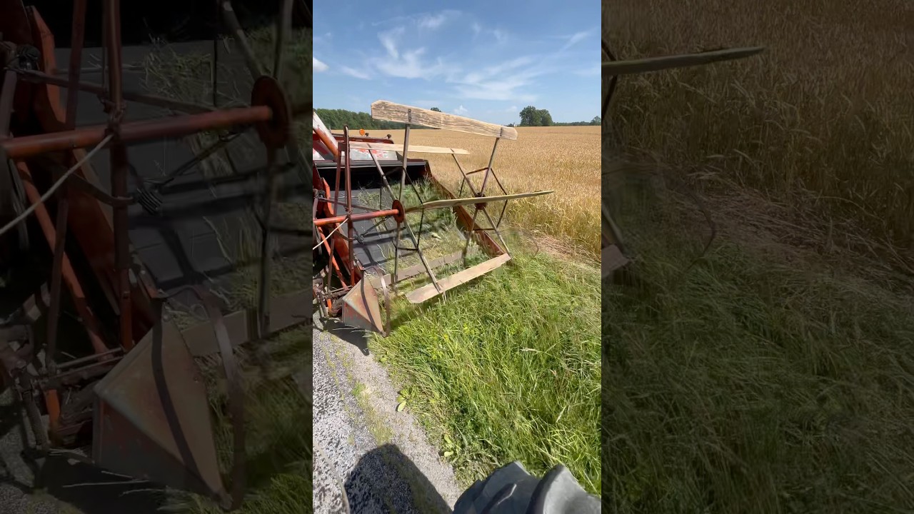 Harvesting grass seed with the AC All Crop 60 and MH 30! 