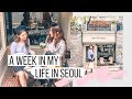 Week in My Life in Seoul 🇰🇷 JYP, FNC + Bumping Into Kpop Idols + Hongdae Shopping | Korea Vlog