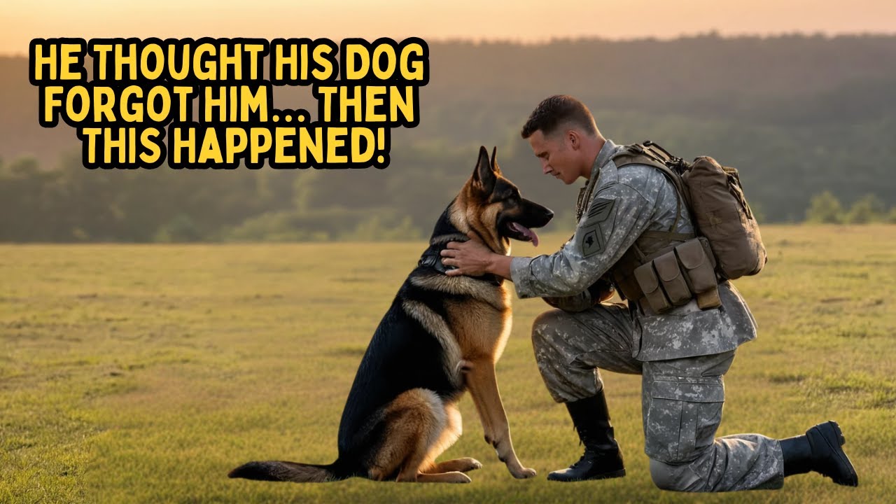 A Soldier Reunites with His Military Dog After Years – The Dog’s ...