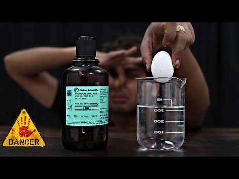 Egg In Acid (HCL) - Shocking Results