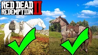 HOW TO GET EVERY BEST HORSE IN RED DEAD REDEMPTION 2 FOR FREE! RDR2 Best Horse Location!