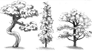 How To Draw Trees ┇ Three Different Ways ┇ Tree Drawing step by step