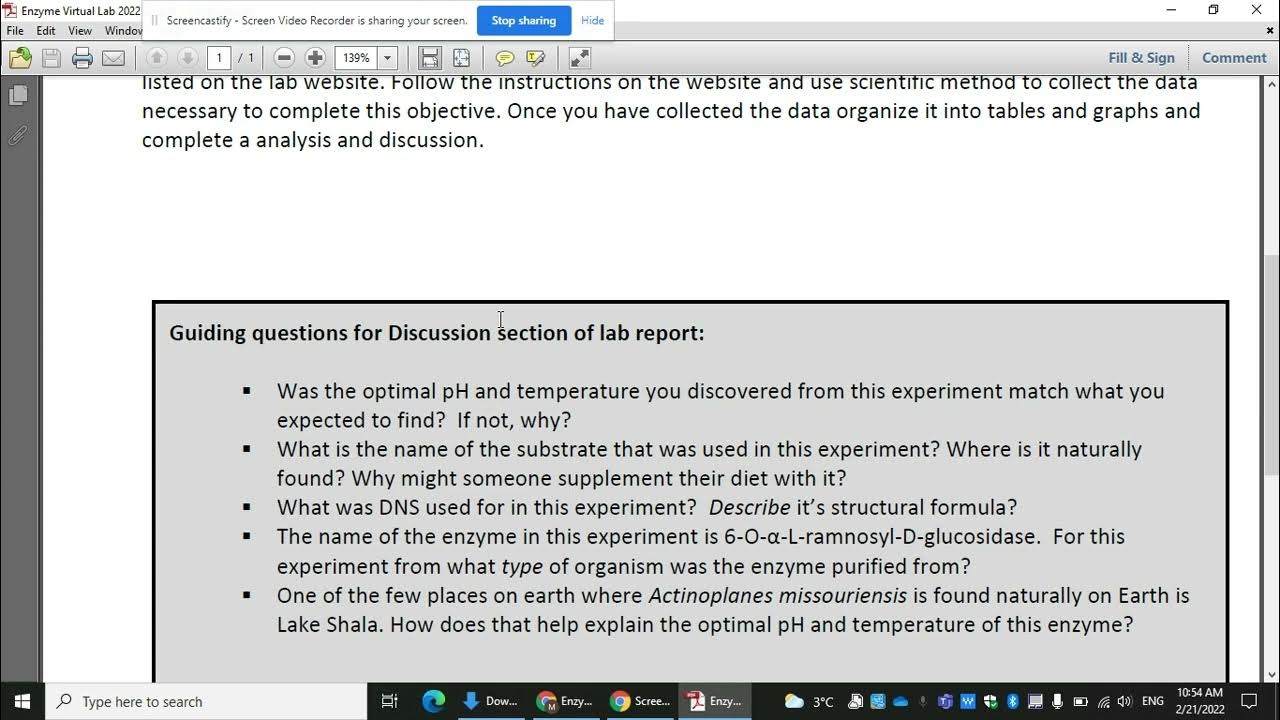 Enzyme virtual lab instructions part 2 YouTube