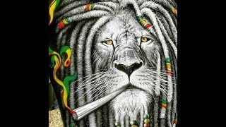 REggaeon - Rasta Faa (რეგიონი -რასტა ფაა)