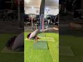 Flexibility exercises #stitchboutique #academia #dance #stitchtricks #motivation