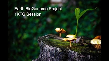 Earth BioGenome Project - 1KFG Session